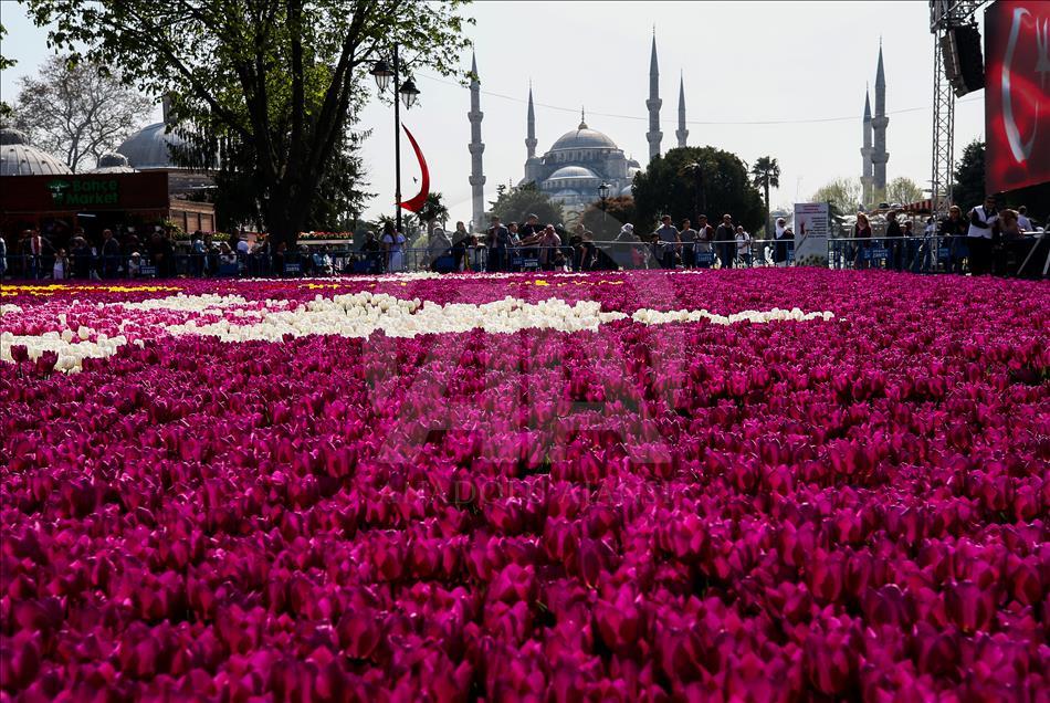 Dünyanın en büyük canlı lale halısı görücüye çıktı