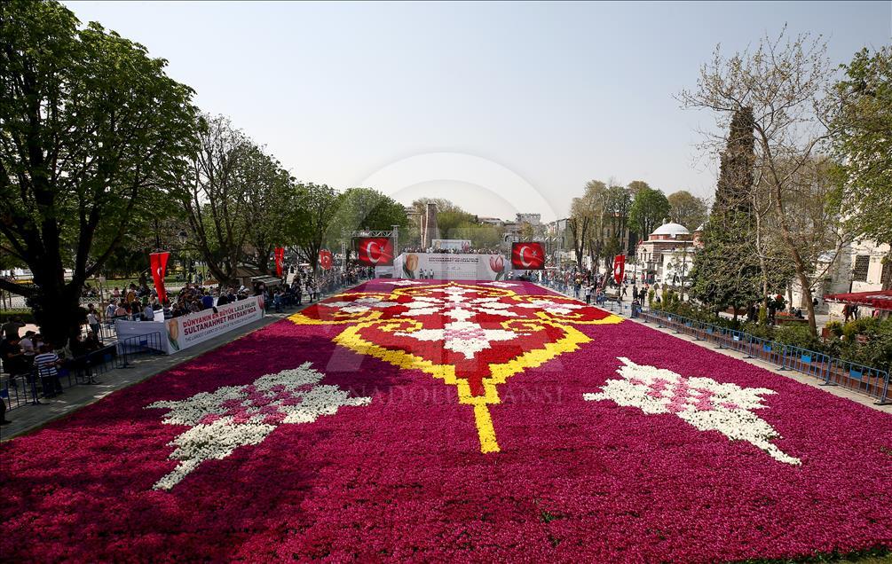 Dünyanın en büyük canlı lale halısı görücüye çıktı