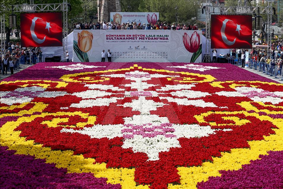 Dünyanın en büyük canlı lale halısı görücüye çıktı