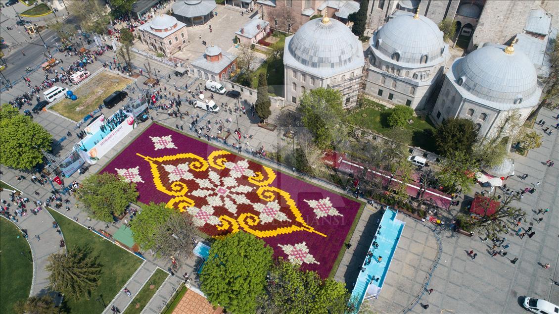 Dünyanın en büyük canlı 'lale halısı'