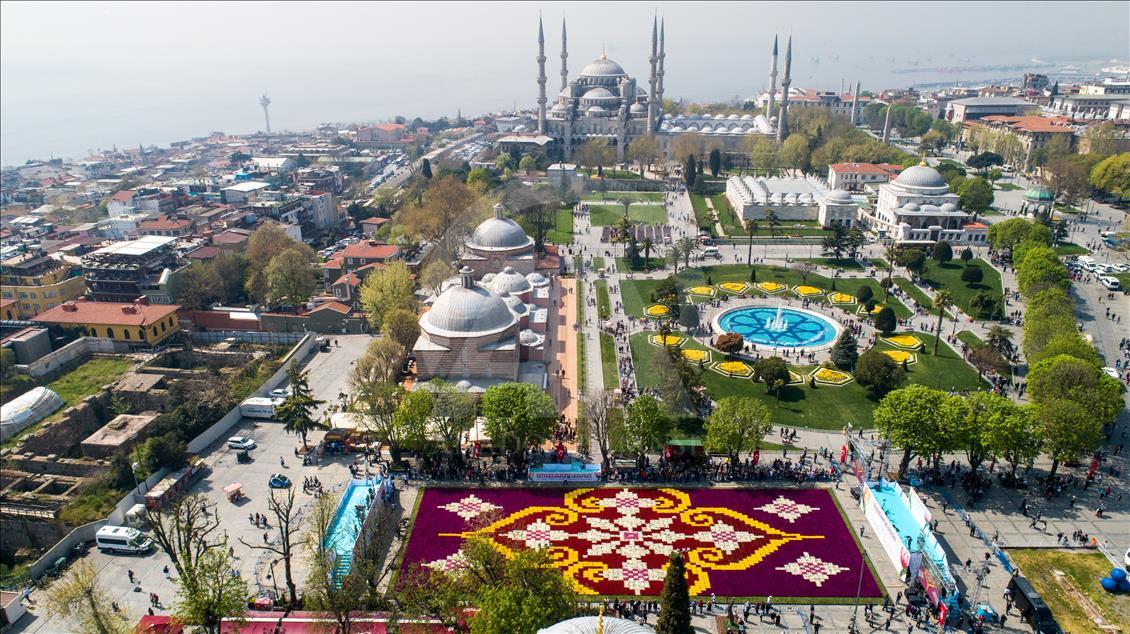 Dünyanın en büyük canlı 'lale halısı'