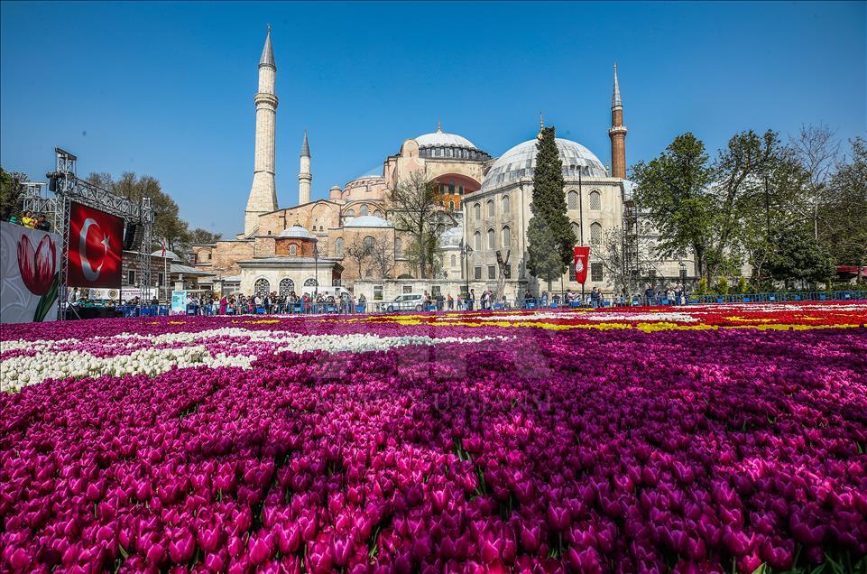 The world's largest tulip carpet in Istanbul