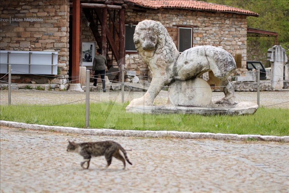 "Afrodit'in kenti" rekor ziyaretçi bekliyor 