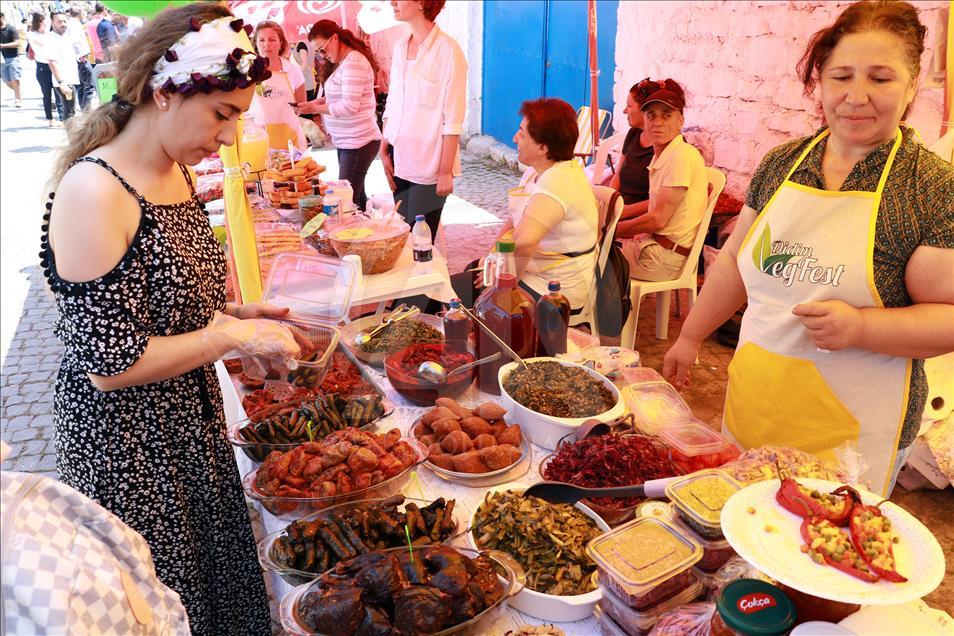 Aydın'da 2. Vegan Festivali
