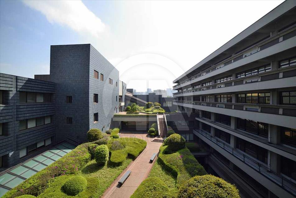 Las bibliotecas más grandes del mundo