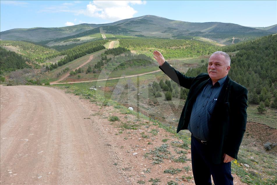 "Anadolu'nun Bozkırı"na 15 yılda 24 milyon fidan