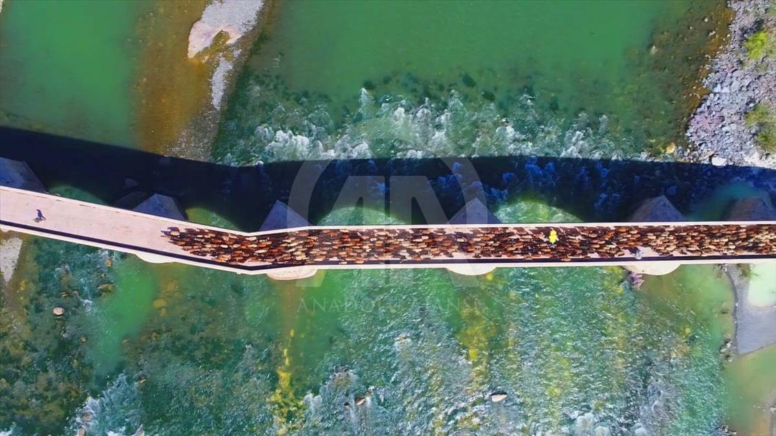 El largo camino a pie de los nómadas de Anatolia en el verano