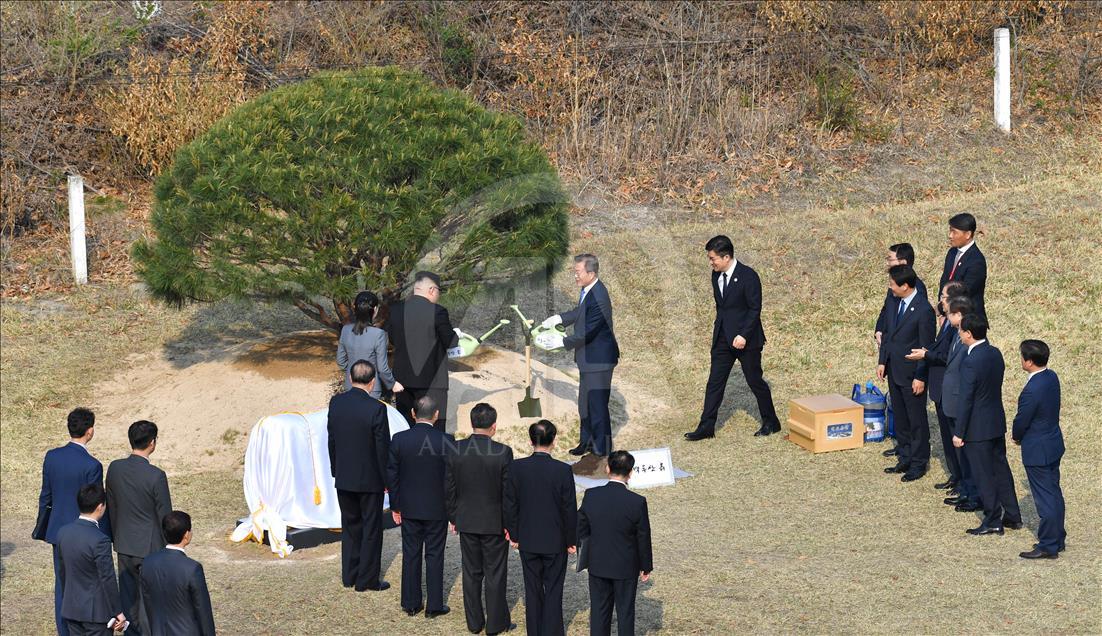 Kuzey ve Güney Kore liderleri barış için birlikte ağaç dikti