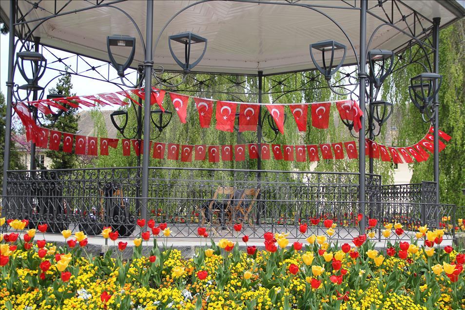 İsviçre'yi Türk laleleri süsledi