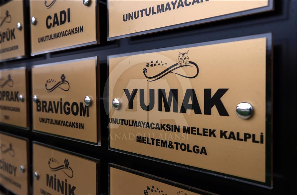 İsimleri "Anı Duvarı"nda yaşatılıyor