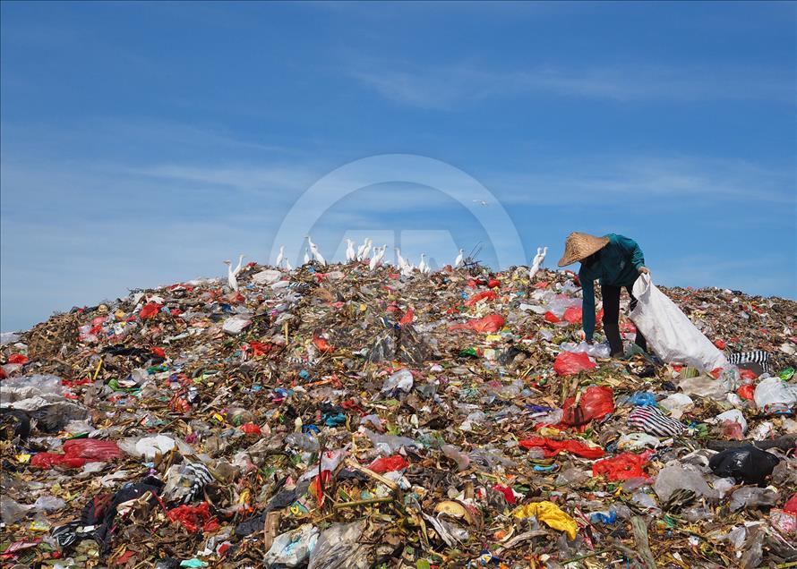 Sekawanan burung Kuntul membuat gunung sampah tidak berbau.