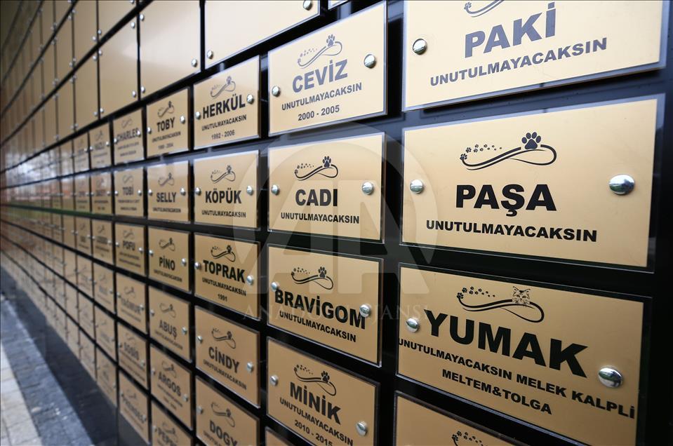 İsimleri "Anı Duvarı"nda yaşatılıyor