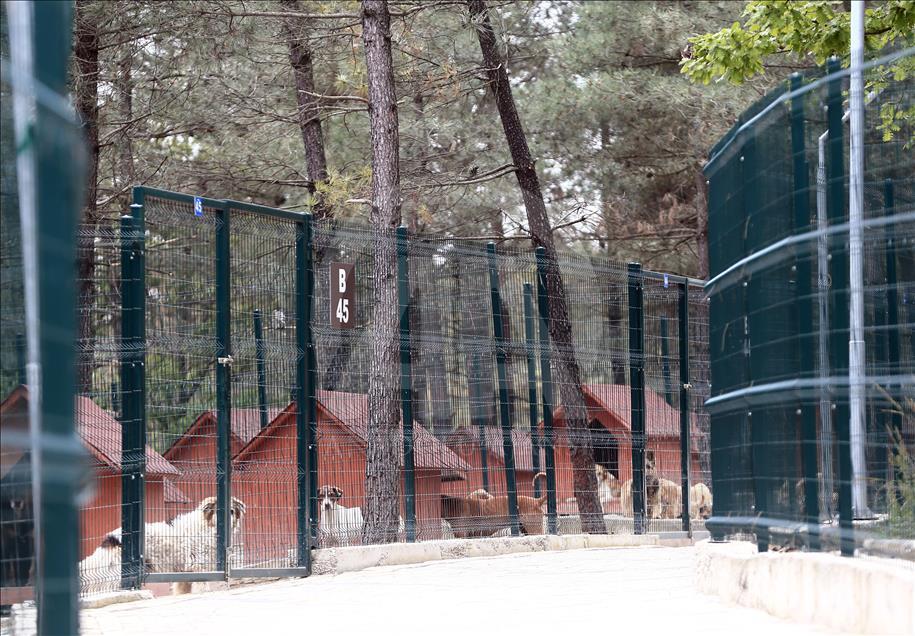 İsimleri "Anı Duvarı"nda yaşatılıyor