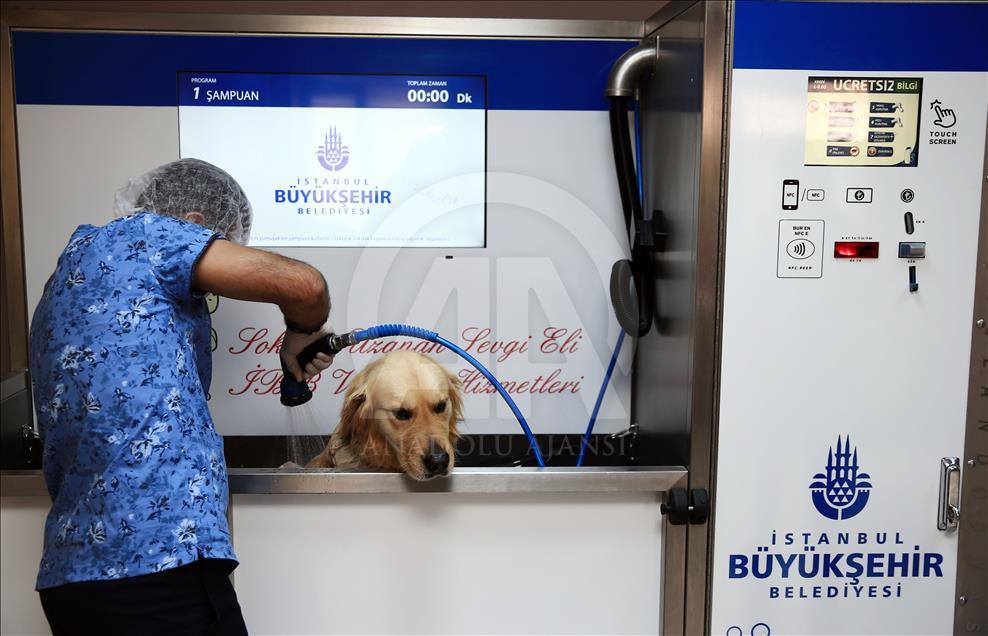 İsimleri "Anı Duvarı"nda yaşatılıyor