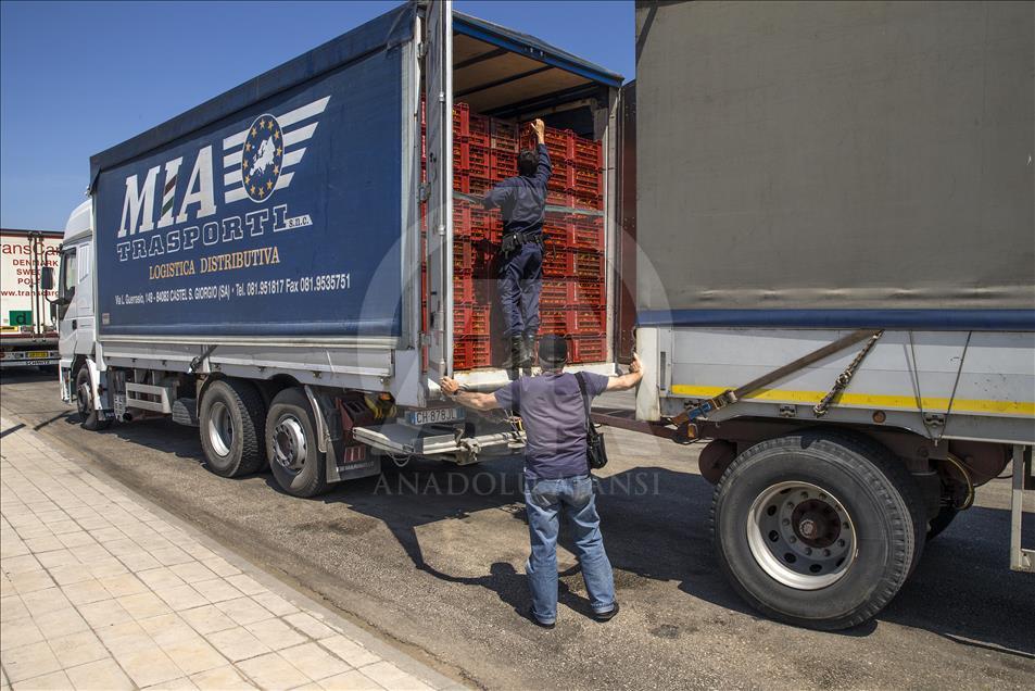 Yunanistan'daki sığınmacıların Avrupa'ya açılan limanı: Patras