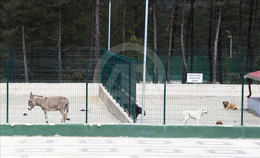 İsimleri "Anı Duvarı"nda yaşatılıyor