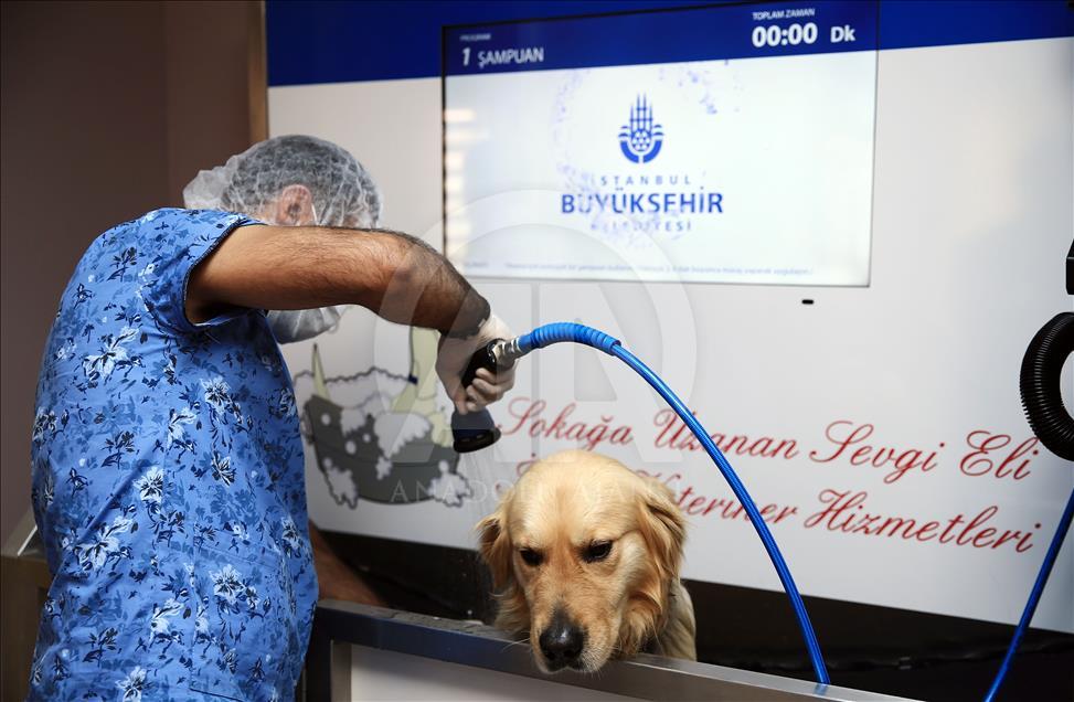 İsimleri "Anı Duvarı"nda yaşatılıyor