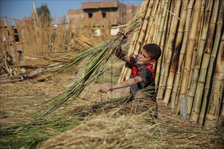 Warga Mesir lestarikan tradisi dengan anyaman daun palem