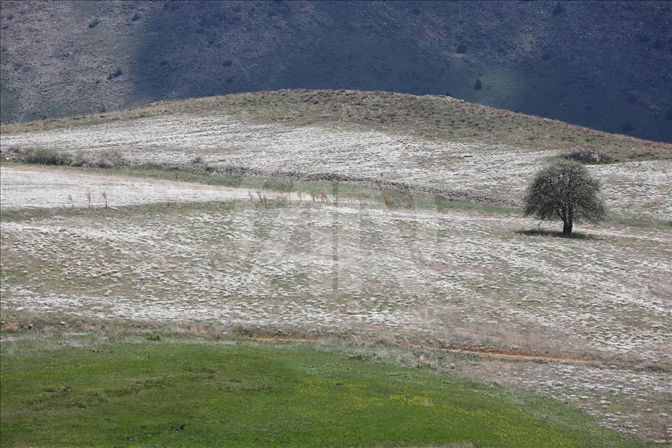 Bayburt'ta ilkbahar güzelliği