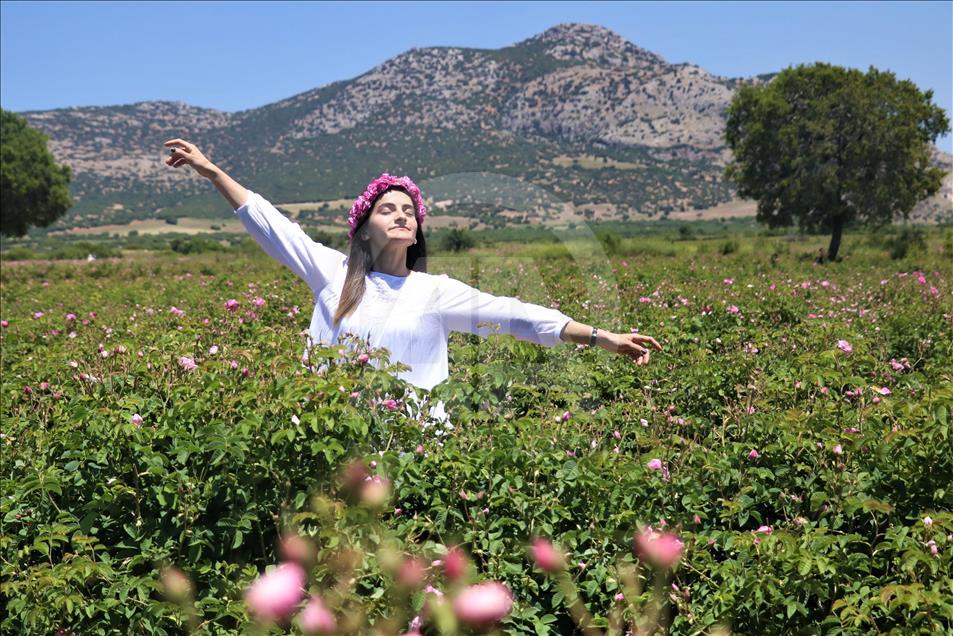 Yabancı turistlerin yeni gözdesi: Isparta gül bahçeleri