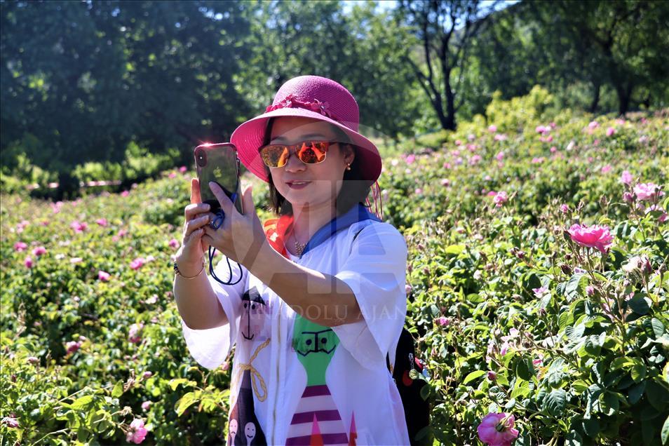Yabancı turistlerin yeni gözdesi: Isparta gül bahçeleri