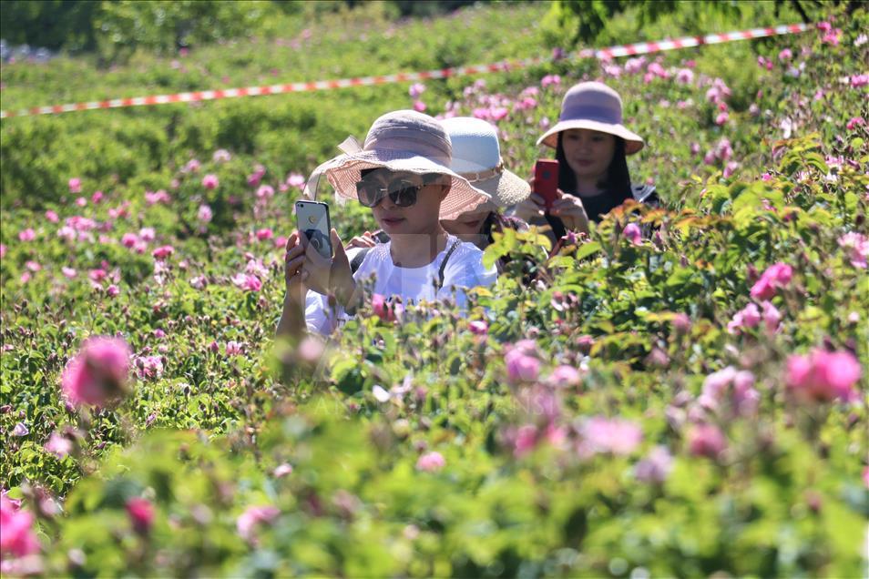 Yabancı turistlerin yeni gözdesi: Isparta gül bahçeleri
