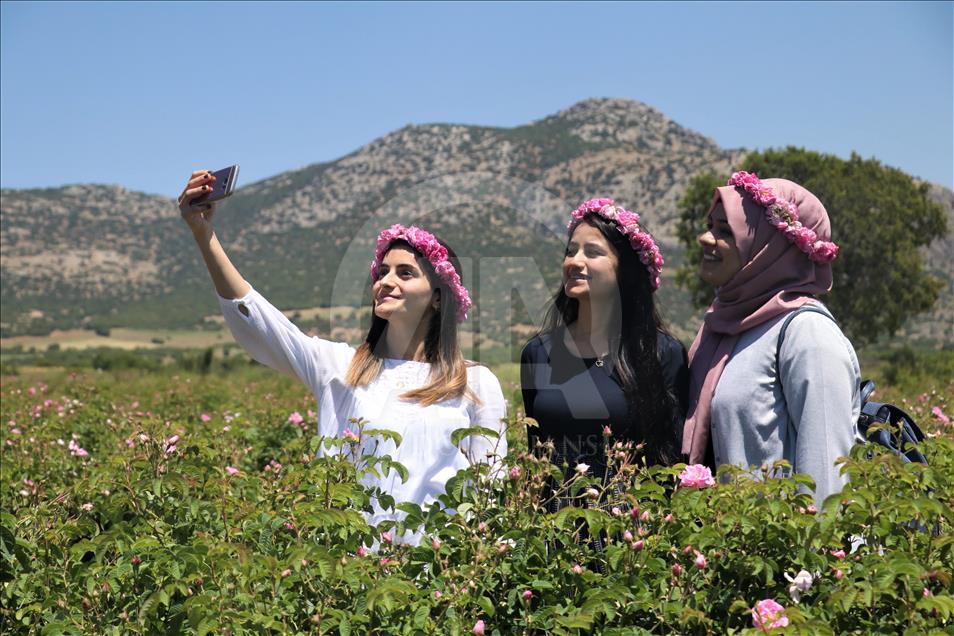 Yabancı turistlerin yeni gözdesi: Isparta gül bahçeleri