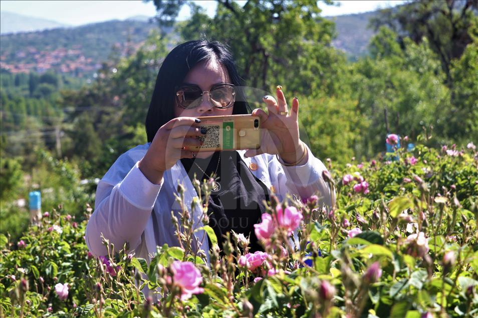 Yabancı turistlerin yeni gözdesi: Isparta gül bahçeleri