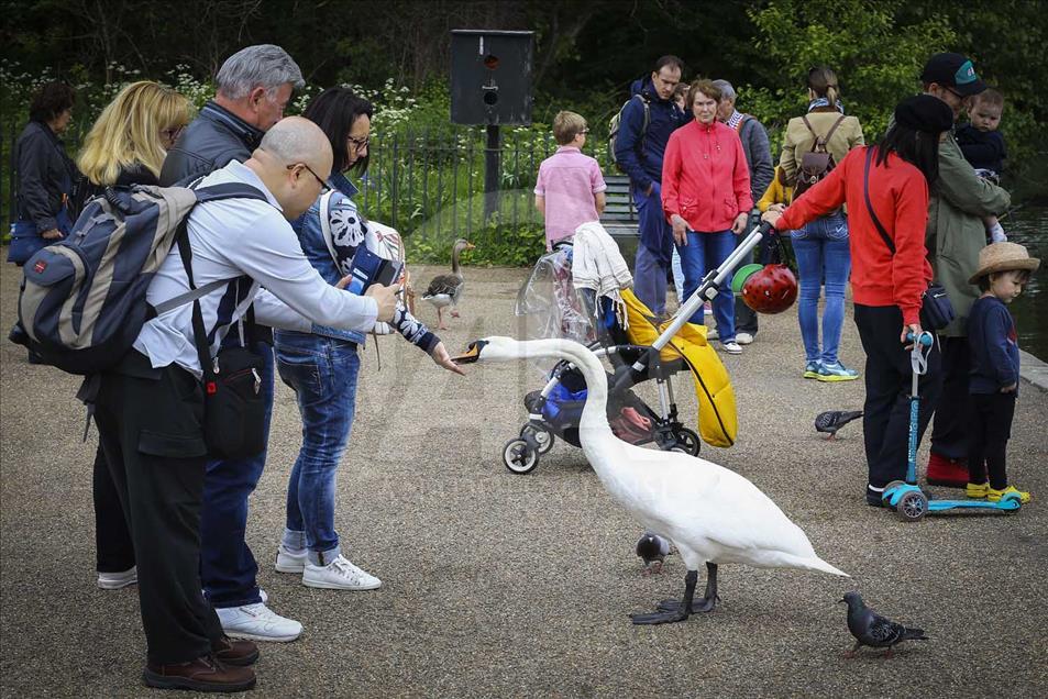 Hyde Park: el símbolo de Londres
