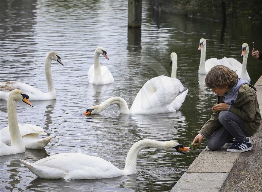 Hyde Park: el símbolo de Londres