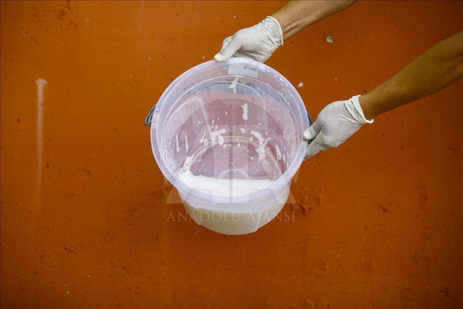 Turist gezdirdiği eşeklerin artık sütünden kazanıyor