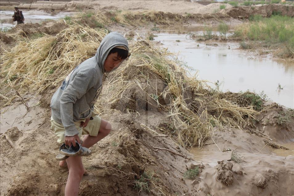 Afganistan'da sel felaketi
