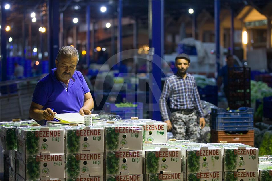 Türkiye'nin yaş meyve ve sebze üssü Antalya Hali