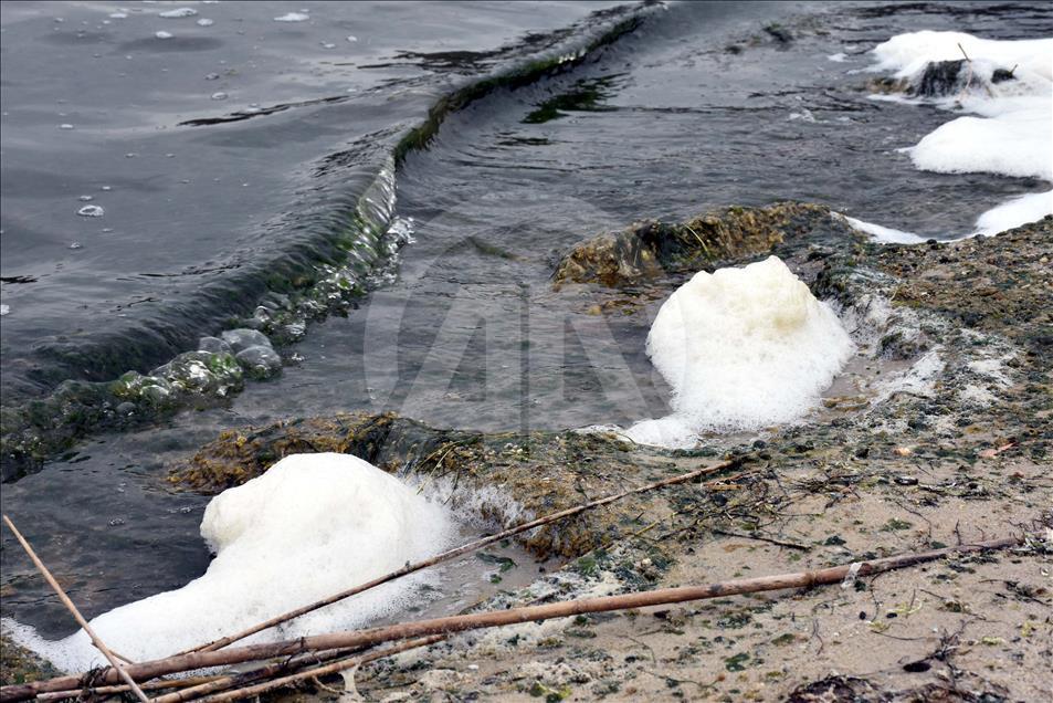Kuraklık ve kirlilik Bafa Gölü'nü köpürttü