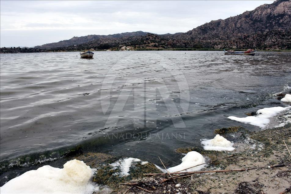 Kuraklık ve kirlilik Bafa Gölü'nü köpürttü