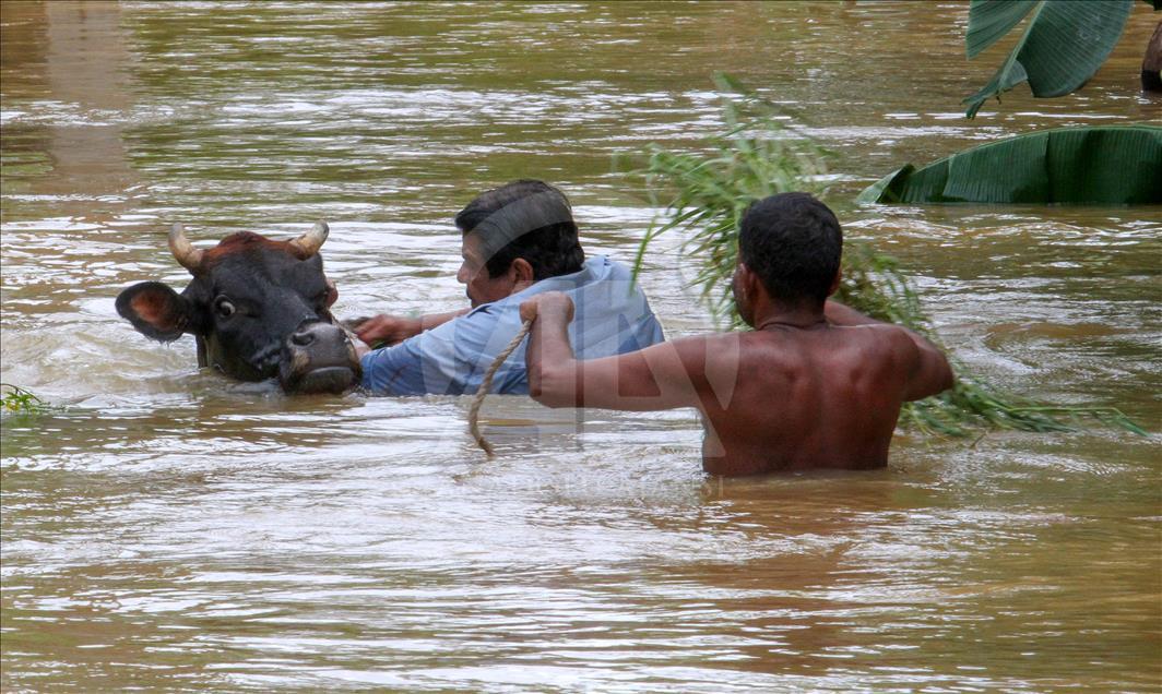 Sri Lanka'da şiddetli yağışlar can aldı