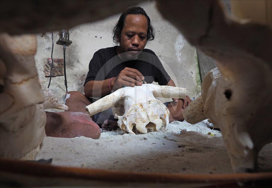 Cráneos de búfalo se convierten en artesanías en Indonesia
