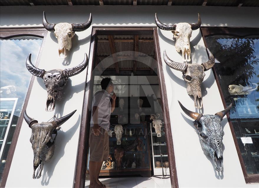 Cráneos de búfalo se convierten en artesanías en Indonesia