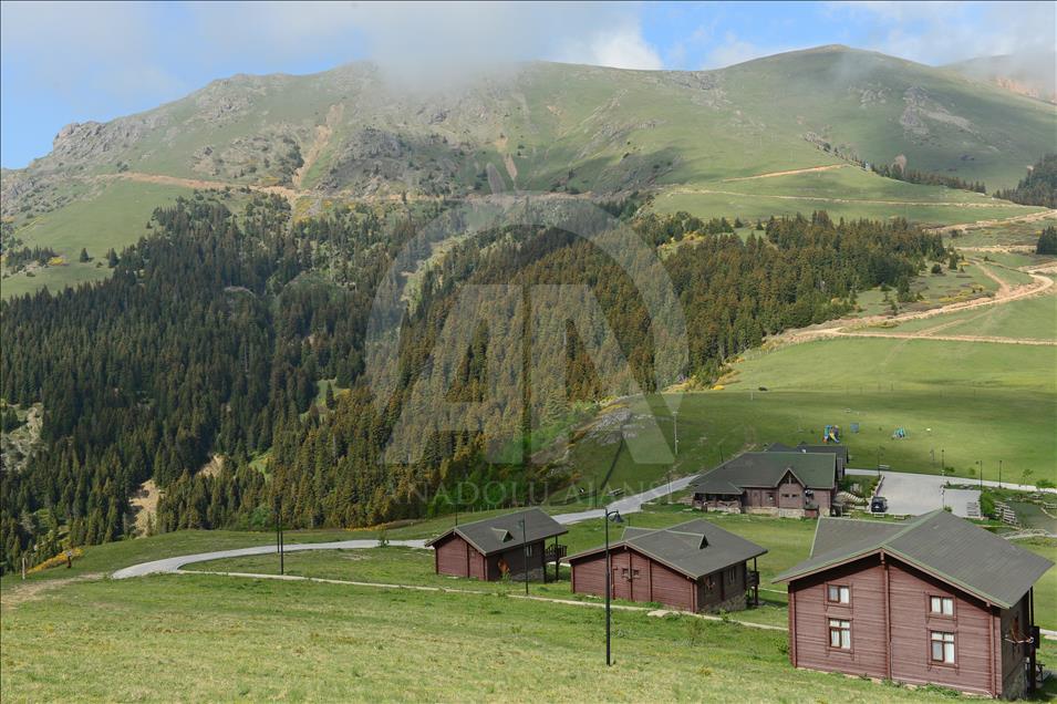 Doğadaki huzurun adresi Koçkayası Tabiat Parkı