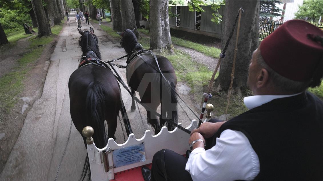Saraybosnalı ailenin bir asırlık fayton geleneği