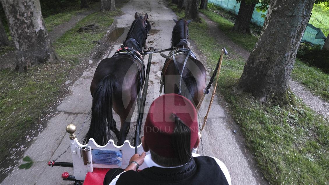 Saraybosnalı ailenin bir asırlık fayton geleneği