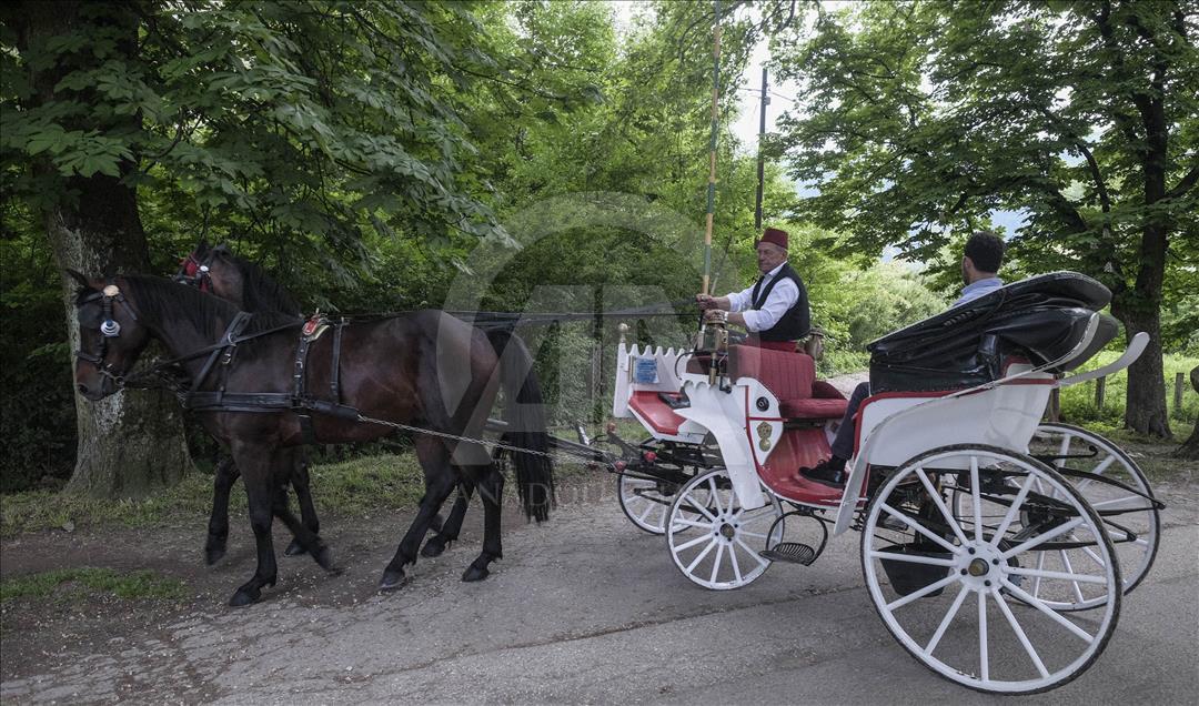 Saraybosnalı ailenin bir asırlık fayton geleneği
