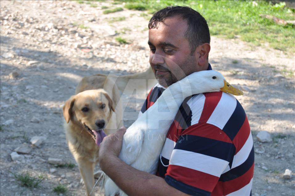 "Viki" ile "Çarli"nin sıra dışı dostluğu