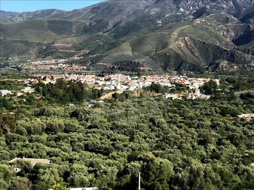 Endülüs'te yankılanan İspanyol Nakşibendilerin zikri