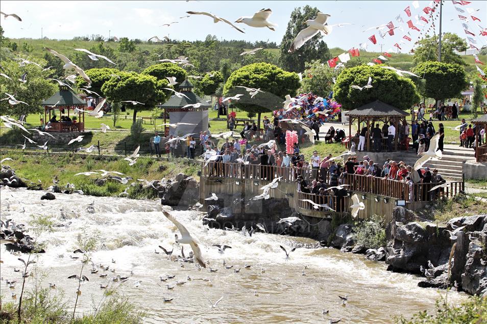 8. Uluslararası İnci Kefali Göçü Kültür ve Sanat Festivali