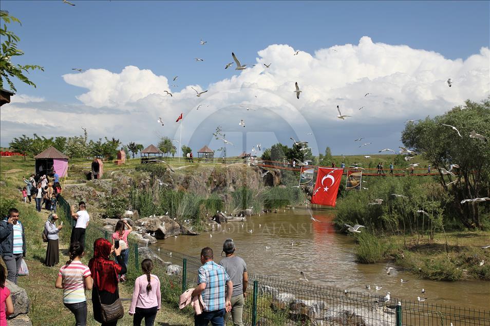 8. Uluslararası İnci Kefali Göçü Kültür ve Sanat Festivali