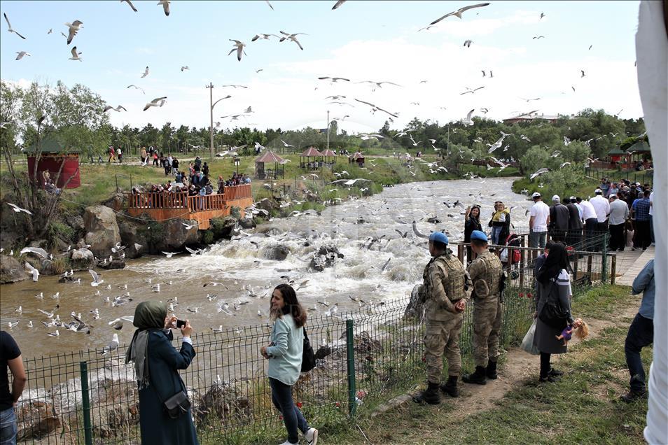 8. Uluslararası İnci Kefali Göçü Kültür ve Sanat Festivali