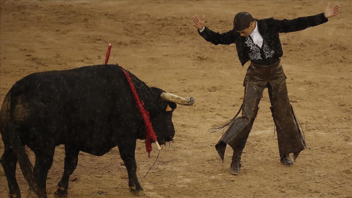 Madrid'de Boğa Güreşi