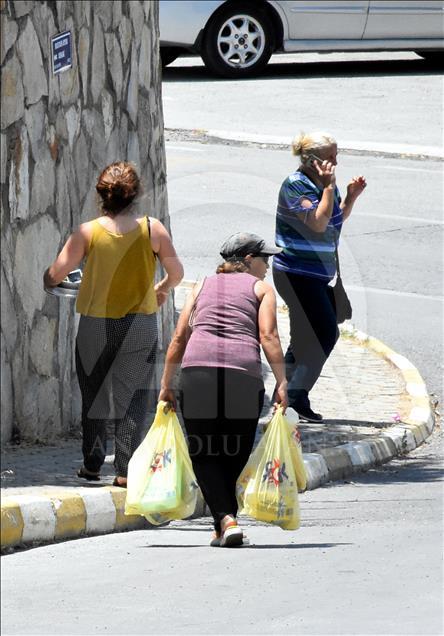 Bodrum'da aç kalan domuz sürüsü ilçe merkezine indi 