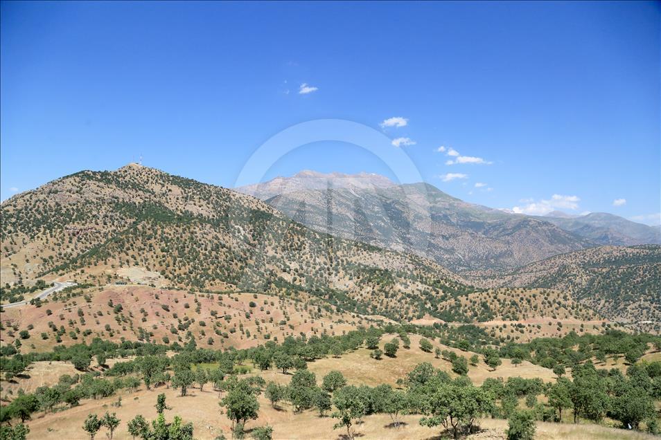 آناتولی کوه‌‌‌ قندیل در شمال عراق را به تصویر کشید